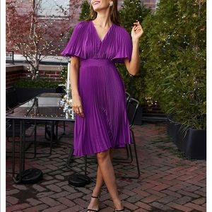 Express V-Neck Dress